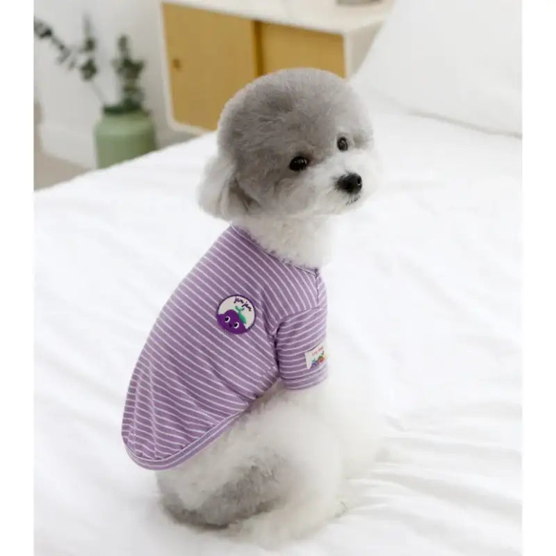 ITSDOG - Pet Jam Jam Striped Shirt - ITSDOG - Pet Clothes - Harumio ITSDOG - Pet Jam Jam Striped Shirt - ITSDOG - Pet Clothes - Harumio