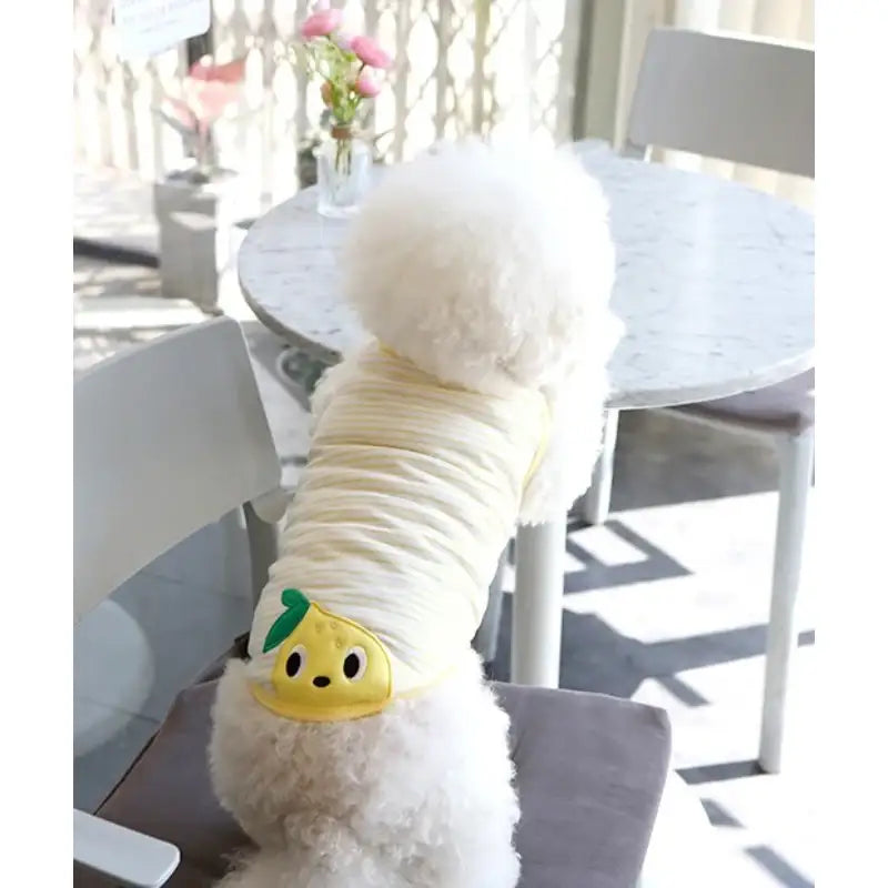 ITSDOG - Pet Jam Jam Peekaboo Sleeveless T-Shirt - ITSDOG - Pet Clothes - Harumio ITSDOG - Pet Jam Jam Peekaboo Sleeveless T-Shirt - ITSDOG - Pet Clothes - Harumio