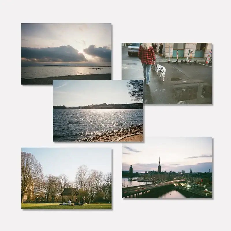 Stay With Us - European Postcard Series - Stay With Us - Postcard - Harumio