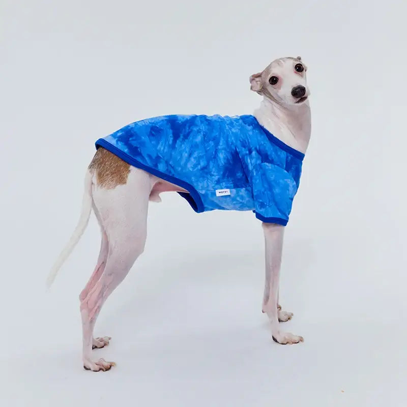 WAVY - Pet T-Shirt - WAVY - Pet Clothes - Harumio WAVY - Pet T-Shirt - WAVY - Pet Clothes - Harumio