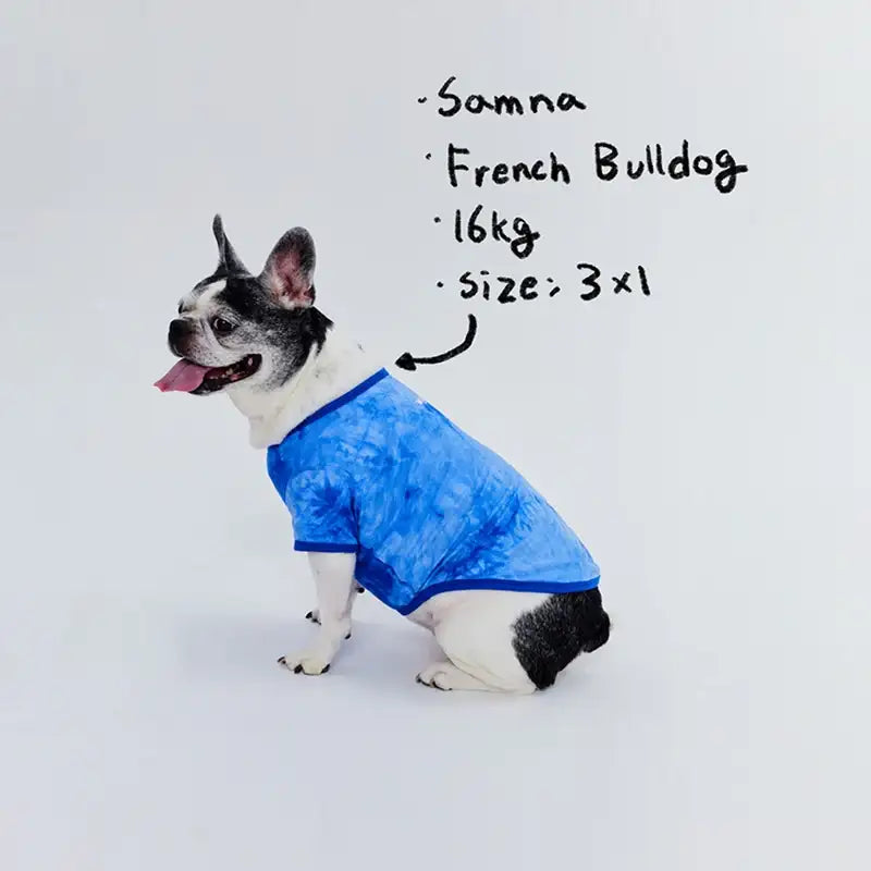 WAVY - Pet T-Shirt - WAVY - Pet Clothes - Harumio WAVY - Pet T-Shirt - WAVY - Pet Clothes - Harumio