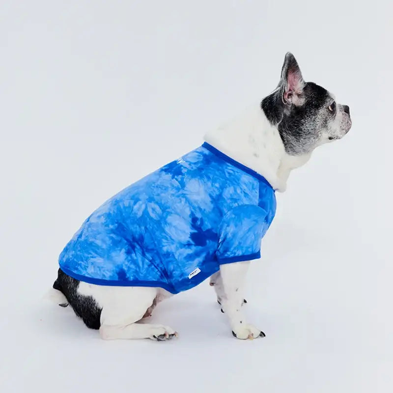 WAVY - Pet T-Shirt - WAVY - Pet Clothes - Harumio WAVY - Pet T-Shirt - WAVY - Pet Clothes - Harumio