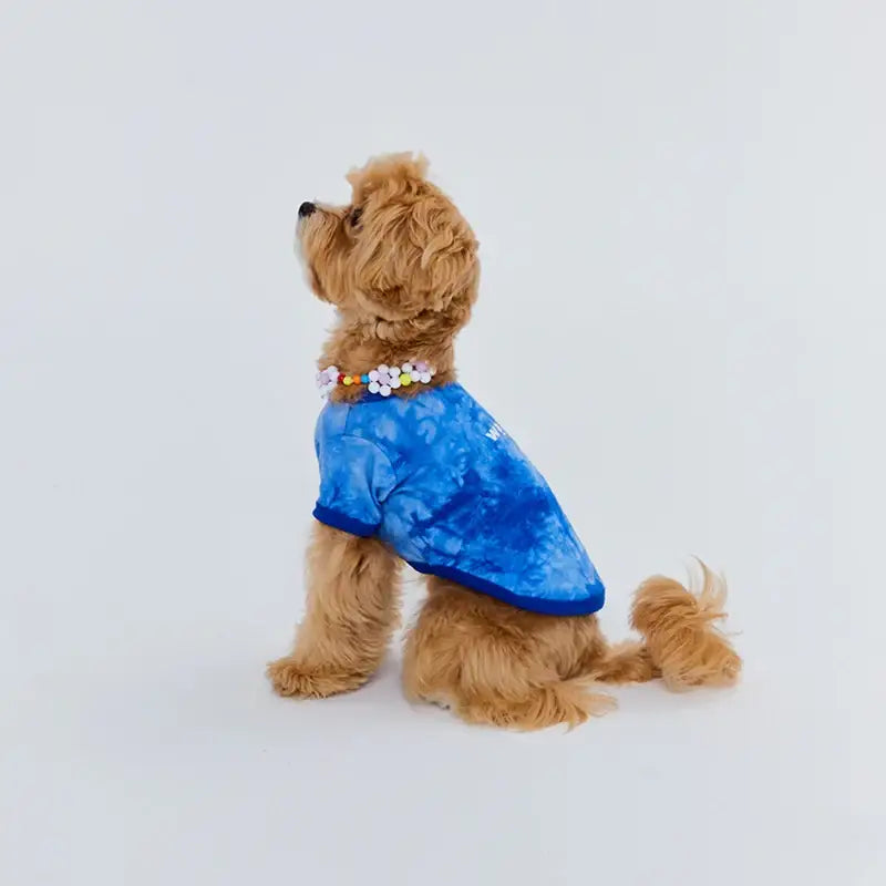 WAVY - Pet T-Shirt - WAVY - Pet Clothes - Harumio WAVY - Pet T-Shirt - WAVY - Pet Clothes - Harumio
