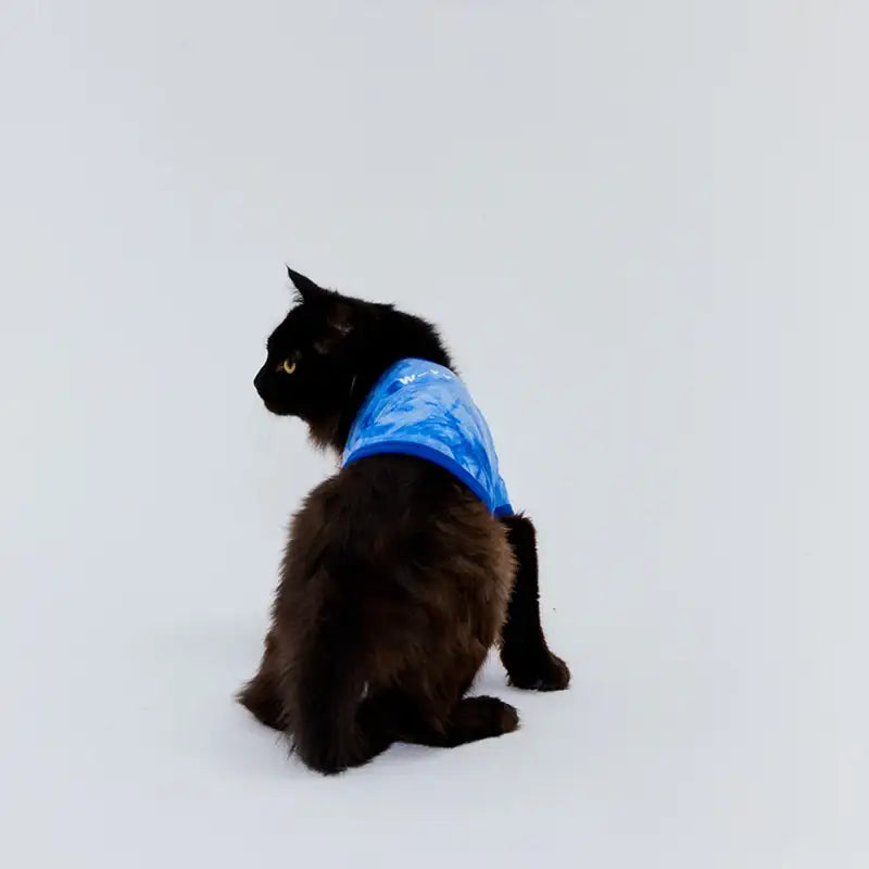 WAVY - Pet T-Shirt - WAVY - Pet Clothes - Harumio WAVY - Pet T-Shirt - WAVY - Pet Clothes - Harumio