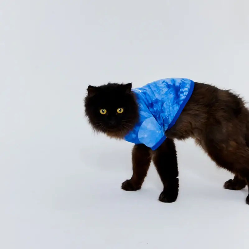 WAVY - Pet T-Shirt - WAVY - Pet Clothes - Harumio WAVY - Pet T-Shirt - WAVY - Pet Clothes - Harumio