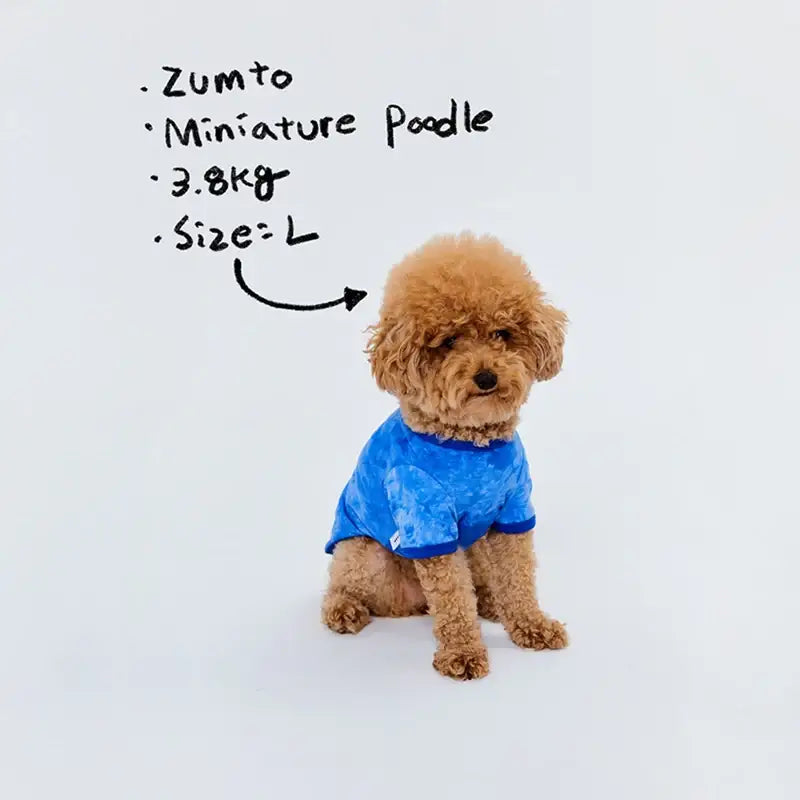 WAVY - Pet T-Shirt - WAVY - Pet Clothes - Harumio WAVY - Pet T-Shirt - WAVY - Pet Clothes - Harumio