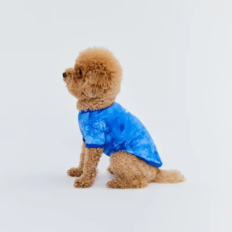 WAVY - Pet T-Shirt - WAVY - Pet Clothes - Harumio WAVY - Pet T-Shirt - WAVY - Pet Clothes - Harumio
