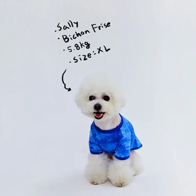 WAVY - Pet T-Shirt - WAVY - Pet Clothes - Harumio WAVY - Pet T-Shirt - WAVY - Pet Clothes - Harumio