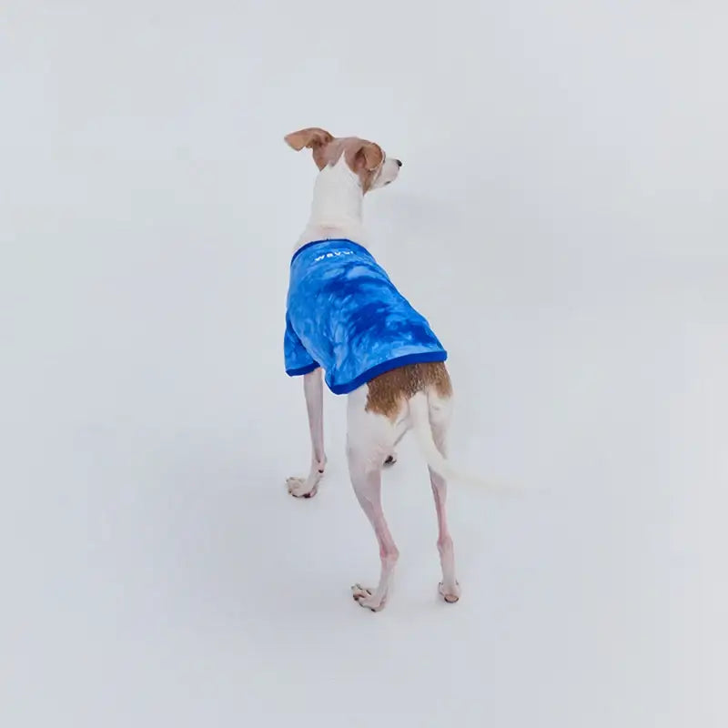 WAVY - Pet T-Shirt - WAVY - Pet Clothes - Harumio WAVY - Pet T-Shirt - WAVY - Pet Clothes - Harumio