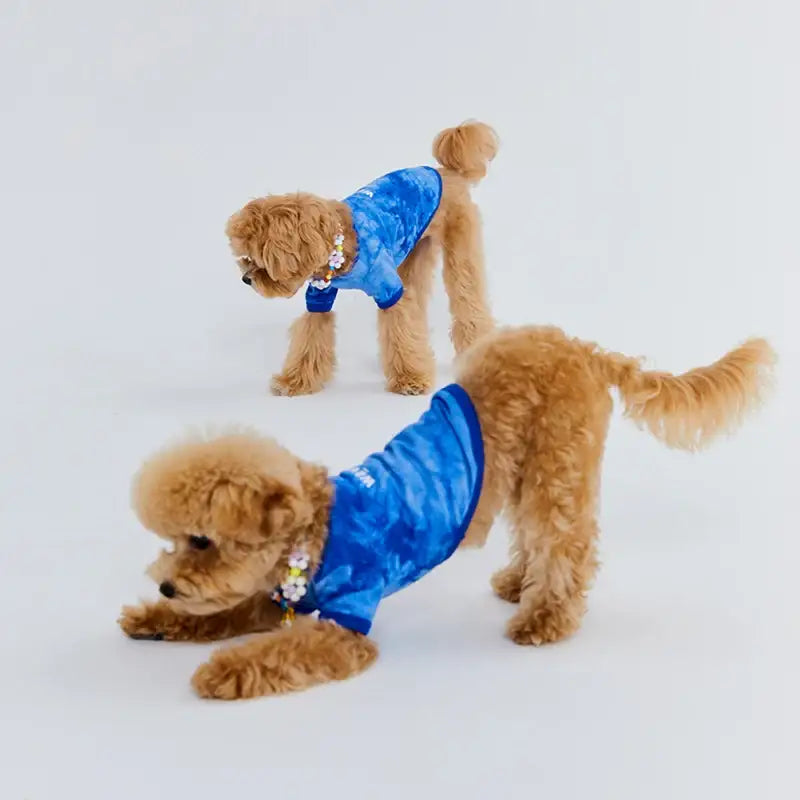 WAVY - Pet T-Shirt - WAVY - Pet Clothes - Harumio WAVY - Pet T-Shirt - WAVY - Pet Clothes - Harumio