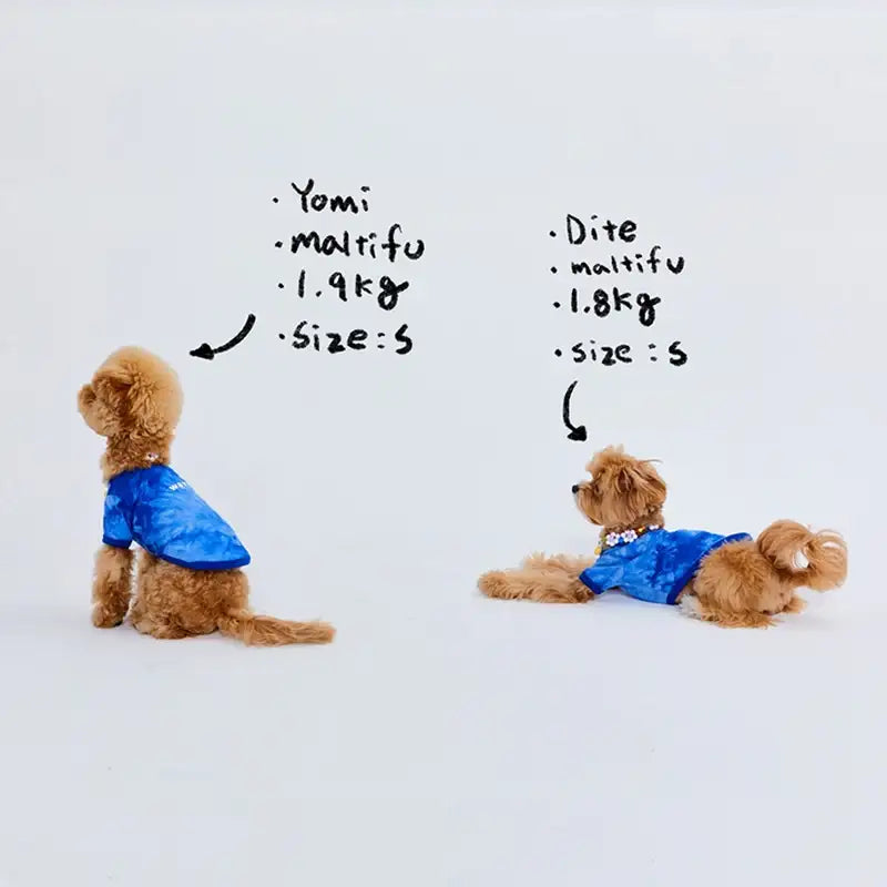 WAVY - Pet T-Shirt - WAVY - Pet Clothes - Harumio WAVY - Pet T-Shirt - WAVY - Pet Clothes - Harumio