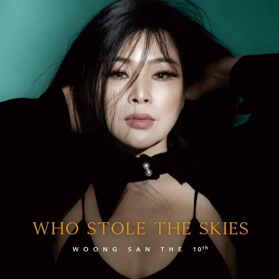 WoongSan - Who Stole The Skies : 10th Album (LP) - WoongSan - Album - Harumio