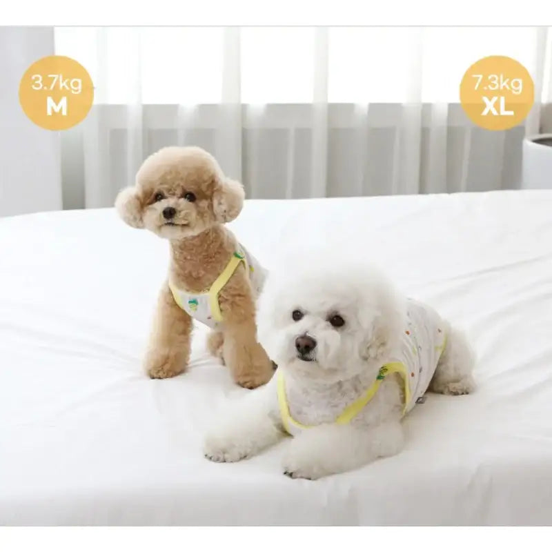 ITSDOG - Pet I'm Fine Sleeveless T-Shirt - ITSDOG - Pet Clothes - Harumio ITSDOG - Pet I'm Fine Sleeveless T-Shirt - ITSDOG - Pet Clothes - Harumio