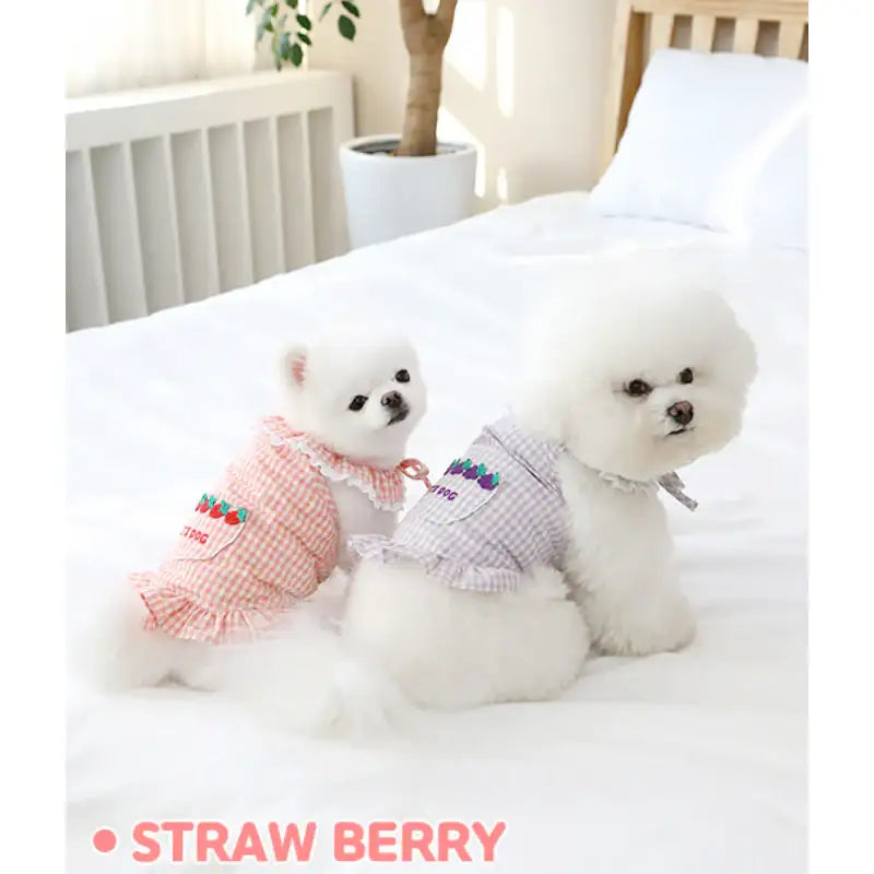 ITSDOG - Pet Fruit Bong Bong Dress - ITSDOG - Pet Clothes - Harumio