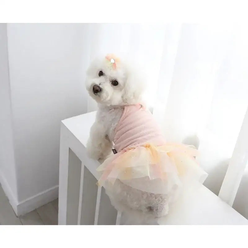 ITSDOG - Pet Ballerina Dress - ITSDOG - Pet Clothes - Harumio ITSDOG - Pet Ballerina Dress - ITSDOG - Pet Clothes - Harumio