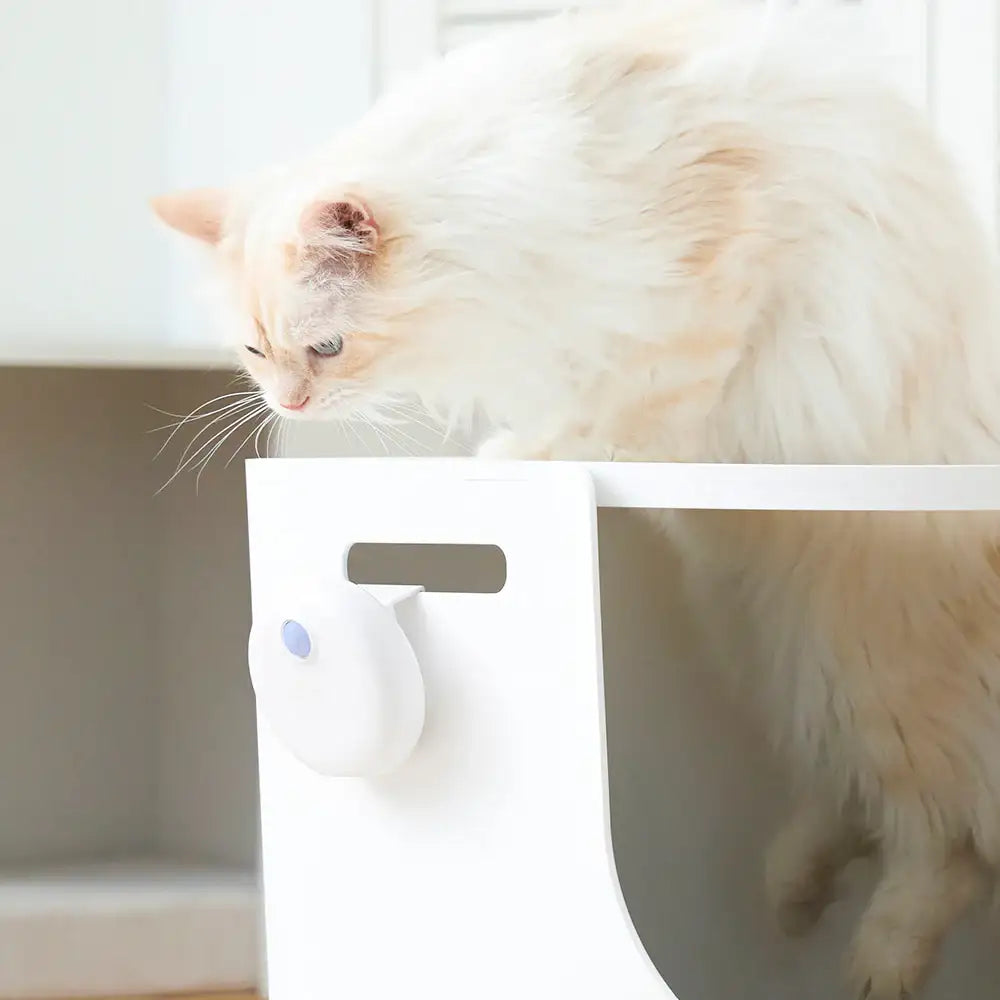 Duit - Pet Pureda - Duit - Pet Accessories - Harumio