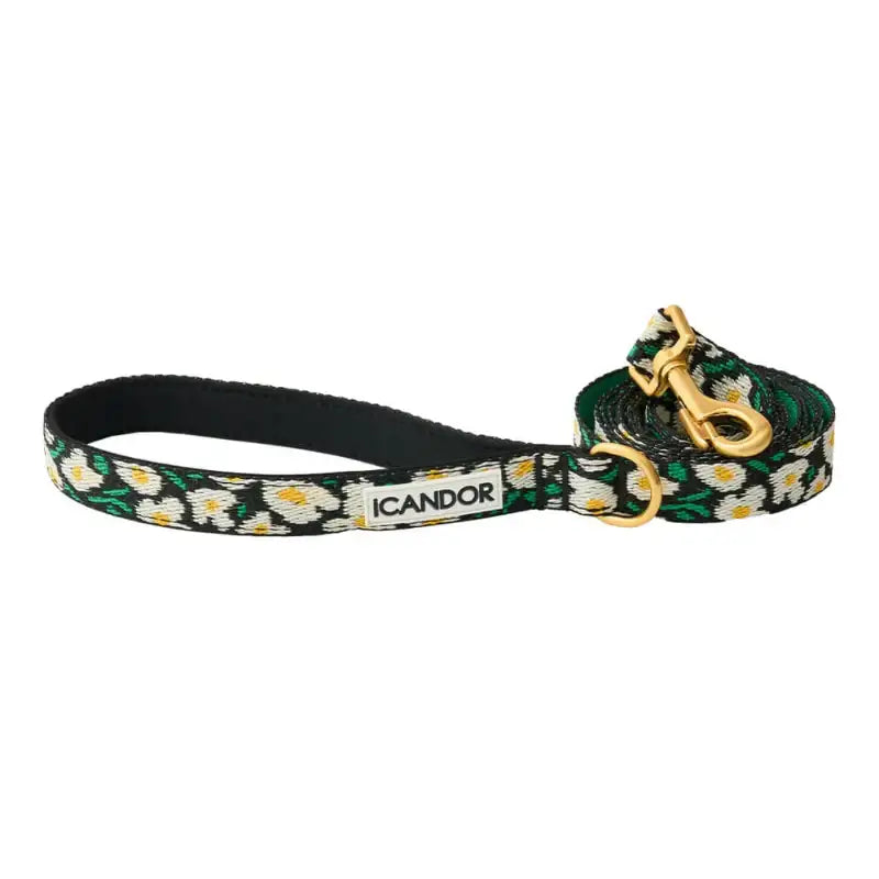 iCANDOR - Gentle Leash - iCANDOR - Pet Lead - Harumio