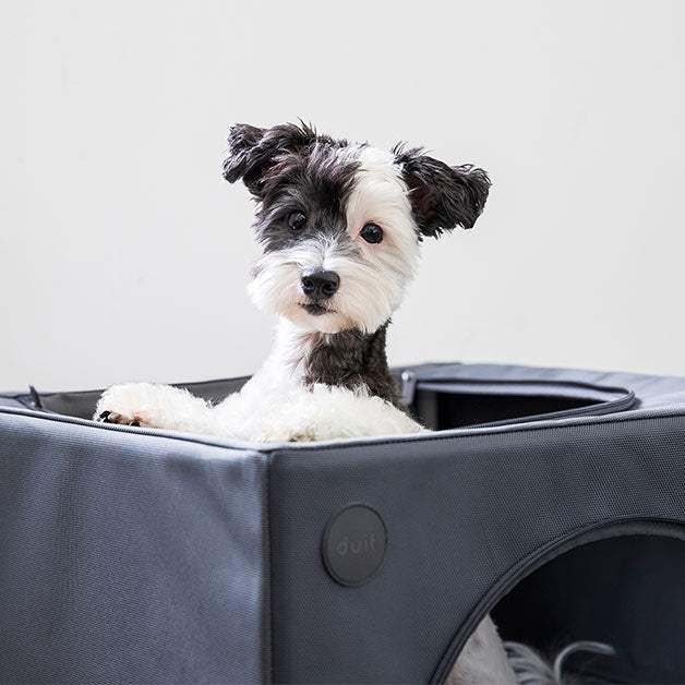 Duit - Pet House - Duit - Home & Living, Accessories - Harumio
