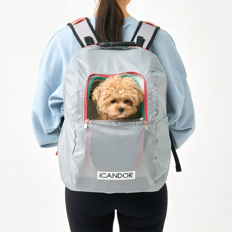 iCANDOR - Wind Guard - iCANDOR - Wind Guard - Harumio