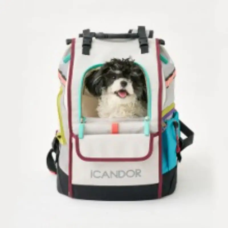 iCANDOR - JIGE Bag - iCANDOR - Pet Carriers - Harumio