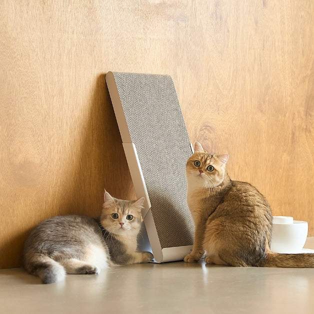 Duit - Pet Standing Board - Duit - Home & Living, Accessories - Harumio