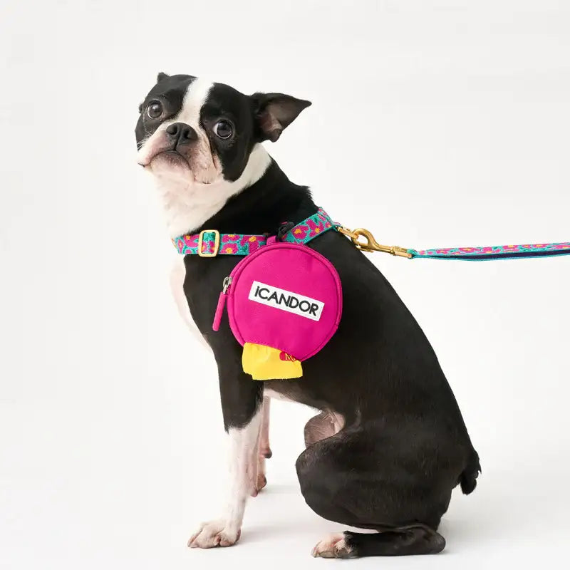 iCANDOR - Peek-a-boo Bag - iCANDOR - Pet Carriers - Harumio