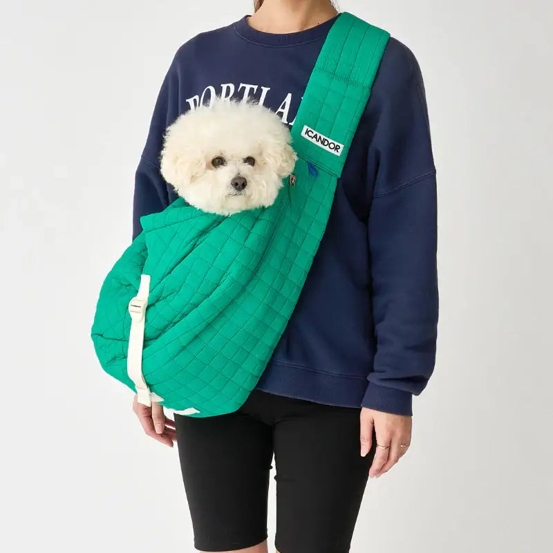 iCANDOR - Guard Cushion - iCANDOR - Pet Cushion - Harumio