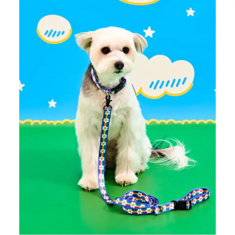 Wiggle Wiggle - Pet Leash - Wiggle Wiggle - Pet Accessories - Harumio