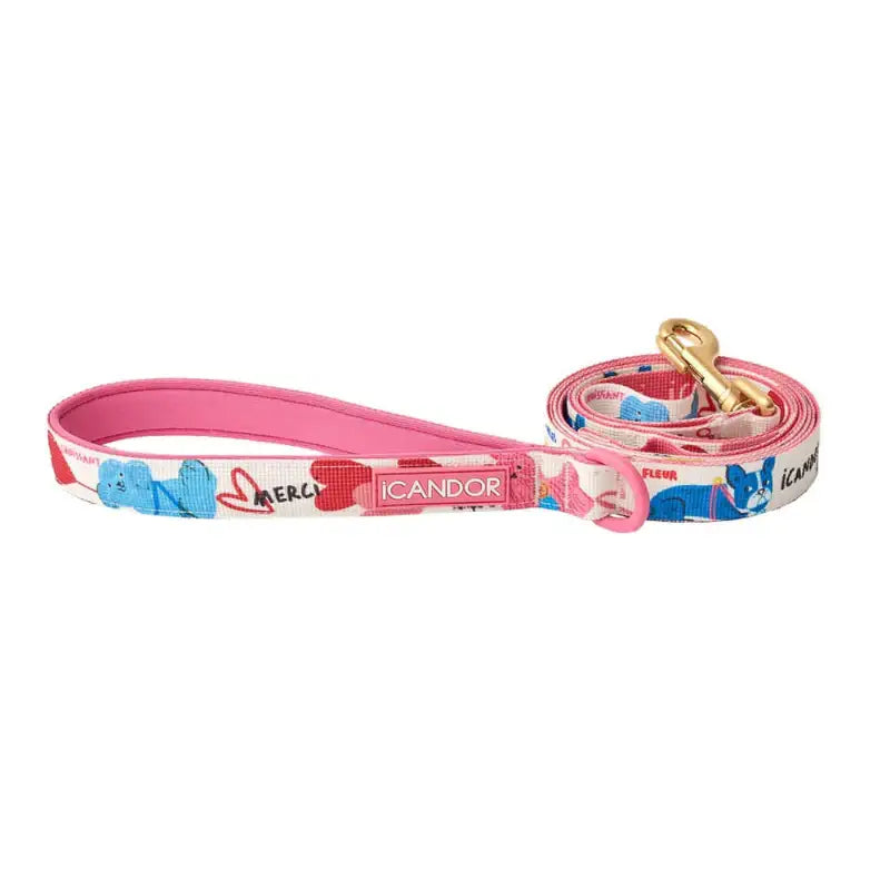 iCANDOR - Gentle Leash - iCANDOR - Pet Lead - Harumio