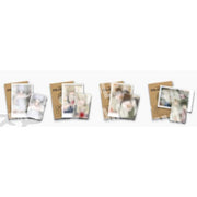 Low Tide in Twilight Pop-up Store in Seong-su - Photo Pack (Random) - JMEESHOP - Photo - Harumio