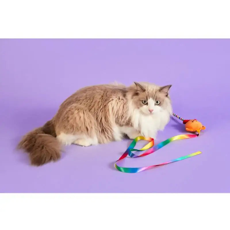 Wiggle Wiggle - Cat Long Teaser - Wiggle Wiggle - Pet Toys - Harumio