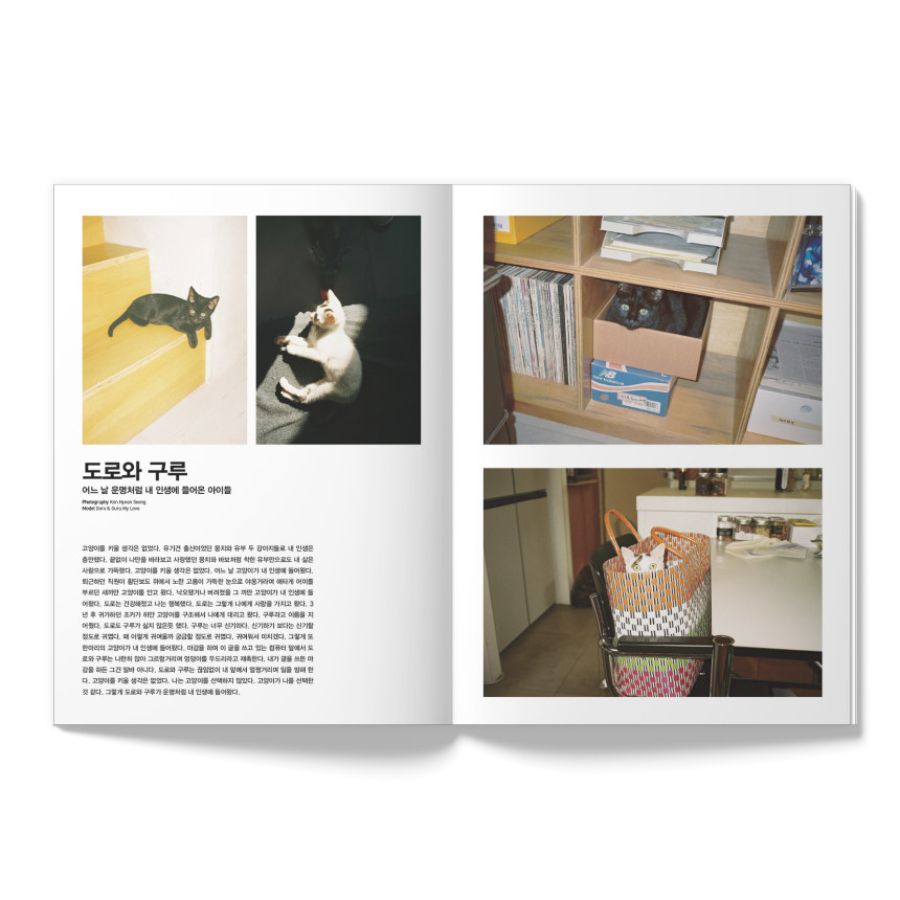 OhBoy! - No.121 - Magazine