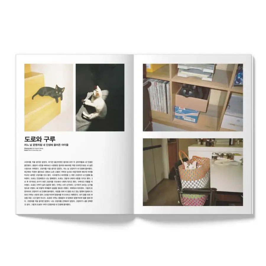 OhBoy! - No.121 - Magazine - Gooddog Publishing - Magazine - Harumio