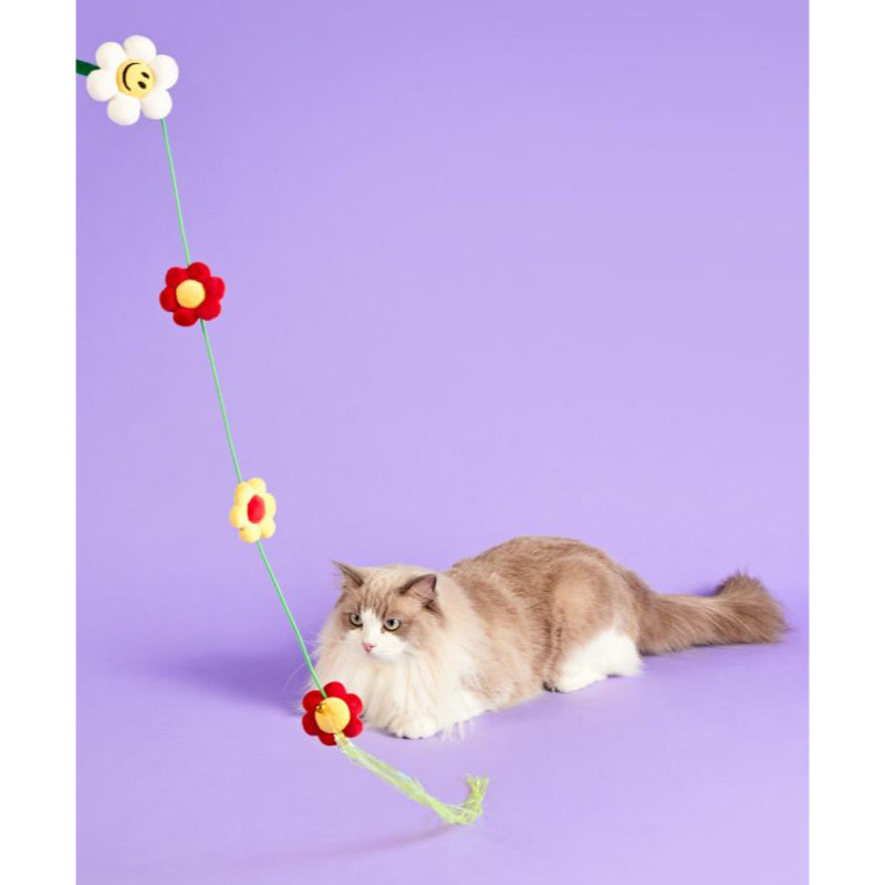Wiggle Wiggle - Cat Long Teaser