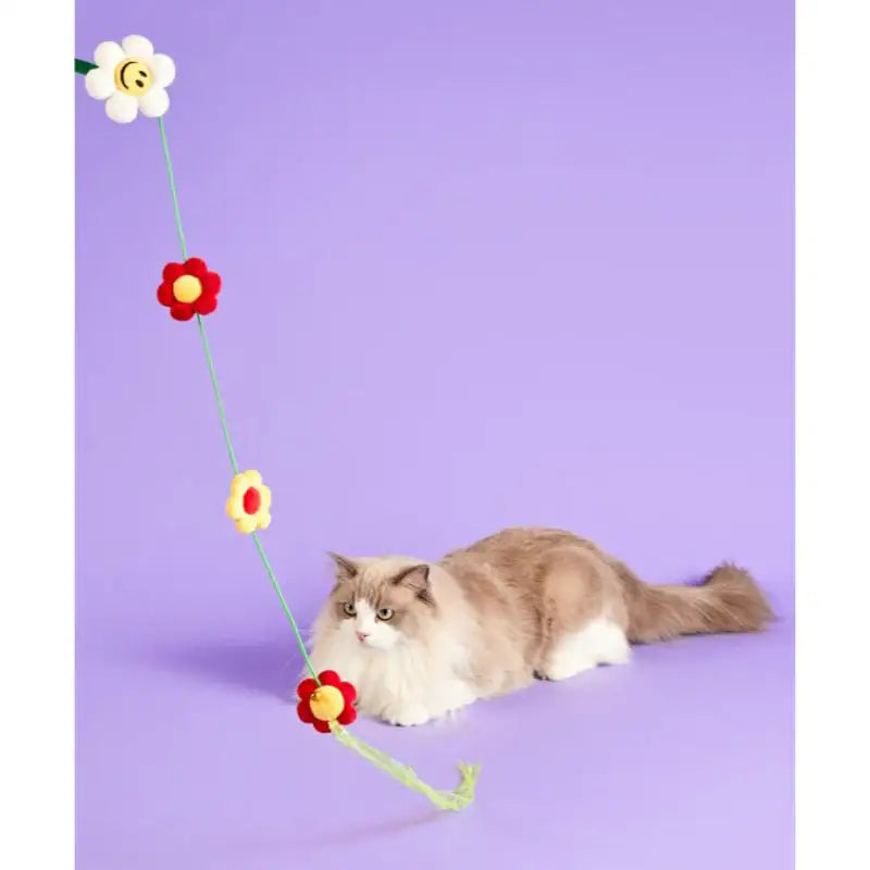 Wiggle Wiggle - Cat Long Teaser - Wiggle Wiggle - Pet Toys - Harumio