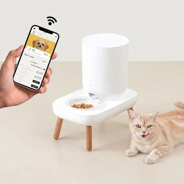 Duit - Pet The Table - Duit - Home & Living, Accessories - Harumio