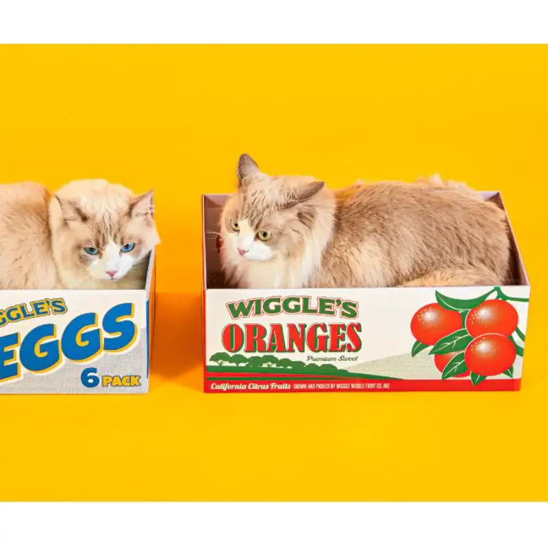 Wiggle Wiggle - Cat Scratcher Box - Wiggle Wiggle - Pet Accesories - Harumio