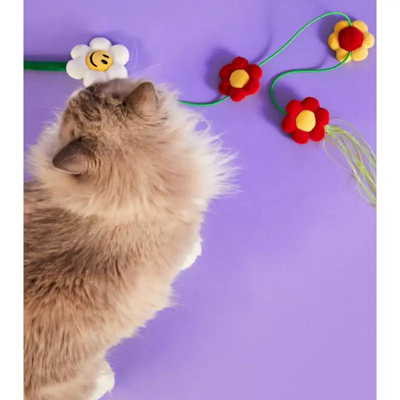 Wiggle Wiggle - Cat Long Teaser - Wiggle Wiggle - Pet Toys - Harumio