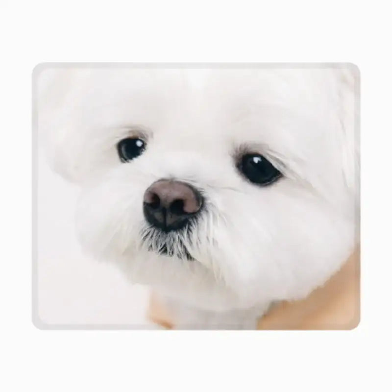 Maru - Mouse Pad - ARTRANK - Mouse Pad - Harumio