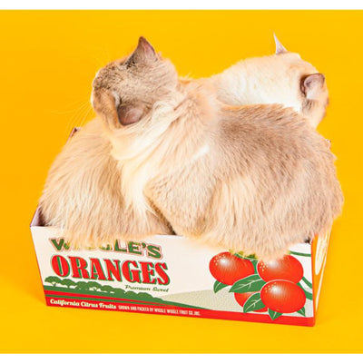 Wiggle Wiggle - Cat Scratcher Box