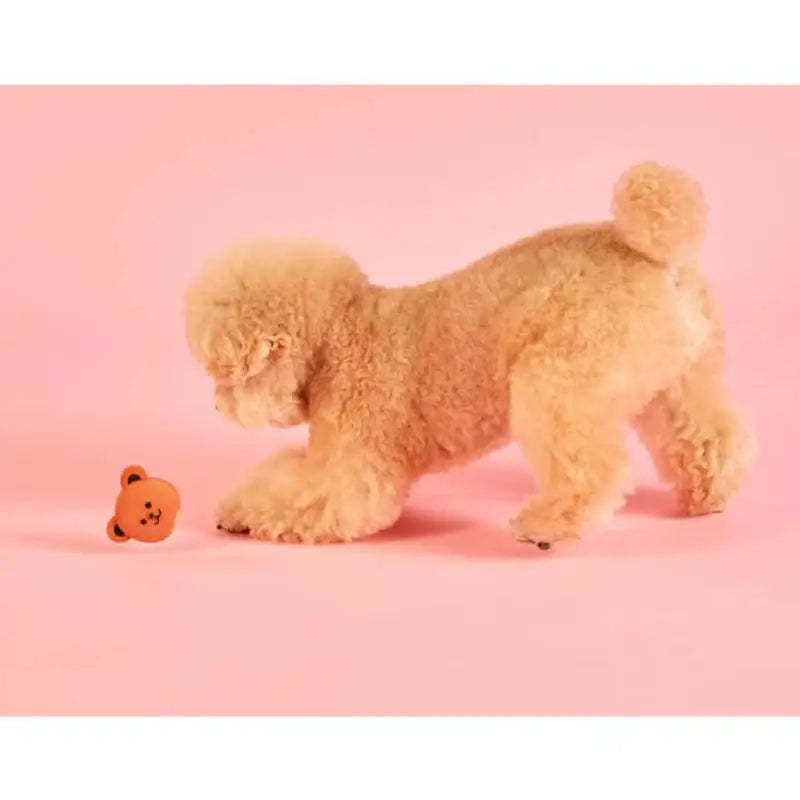 Wiggle Wiggle - Latex Happy Toy Set - Wiggle Wiggle - Toys - Harumio