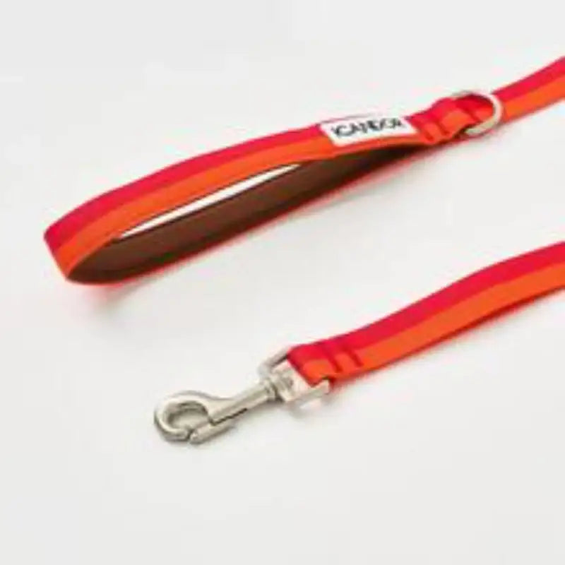 iCANDOR - Gentle Leash - iCANDOR - Pet Lead - Harumio
