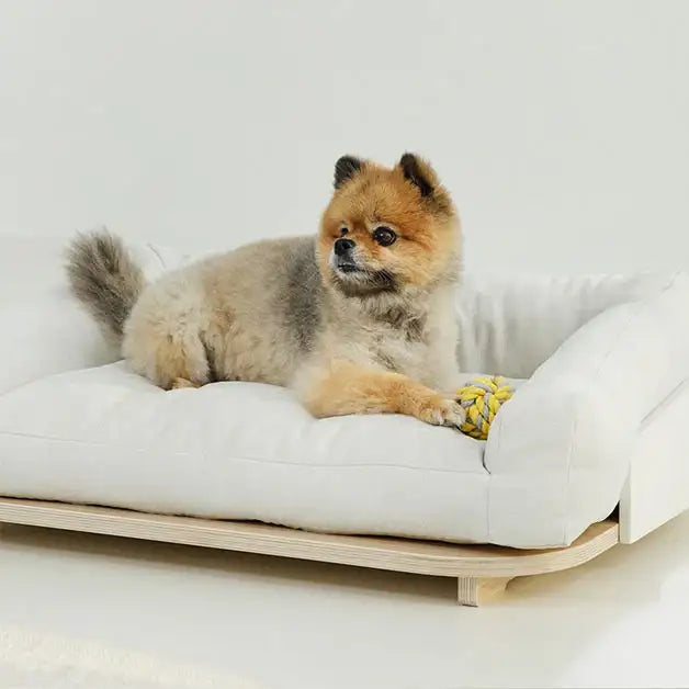 Duit - Noop Noop Cushion in Bed - Duit - Home & Living, Accessories - Harumio
