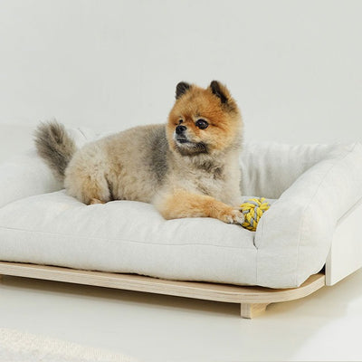 Duit - Noop Noop Cushion in Bed