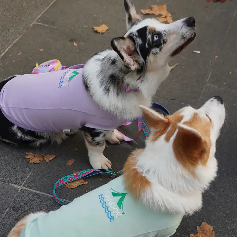 iCANDOR - Nature Top - iCANDOR - Pet Clothes - Harumio