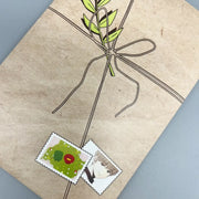 Youth Blossom - Illustration Postcard Set (All Seasons) - Jaedam Media - Home & Living, Accessories - Harumio
