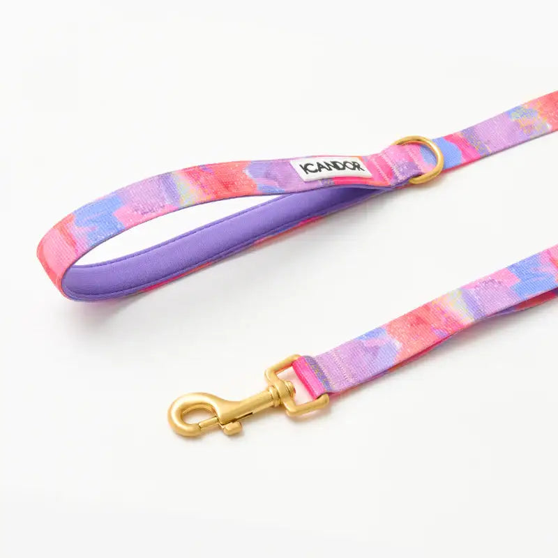 iCANDOR - Gentle Leash - iCANDOR - Pet Lead - Harumio