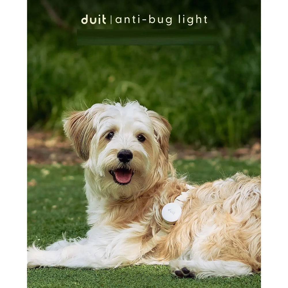 Duit - Pet Grooming Pouch Set - Duit - Home & Living, Accessories - Harumio