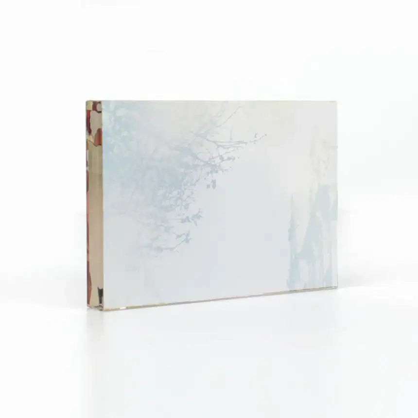The Reason Why Raeliana Ended Up at the Duke's Mansion - Acrylic Block - Soone Content - Acrylic Block - Harumio