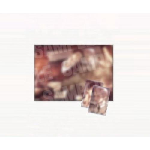 Pearl Boy: Ignite the Dawn (LEBOM CAFE) - Poster (Dooshik & Jooha)